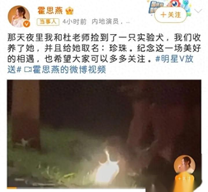 霍思燕杜江收养实验犬!视频背后让人泪目。-杜江霍思燕家的狗是什么狗