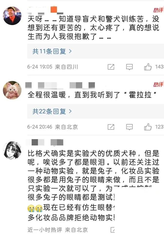 霍思燕杜江收养实验犬!视频背后让人泪目。-杜江霍思燕家的狗是什么狗