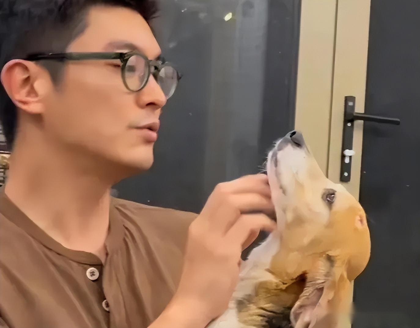 霍思燕杜江收养实验犬!视频背后让人泪目。-杜江霍思燕家的狗是什么狗
