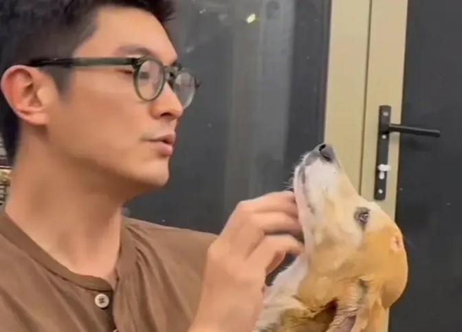 霍思燕杜江领养实验犬?3天后变化惊人,网友:这才是真明星-杜江霍思燕分居