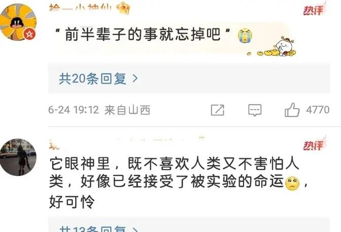 霍思燕杜江领养实验犬?3天后变化惊人,网友:这才是真明星-杜江霍思燕分居