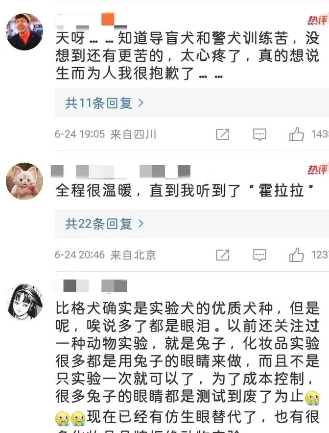 霍思燕杜江领养实验犬?3天后变化惊人,网友:这才是真明星-杜江霍思燕分居