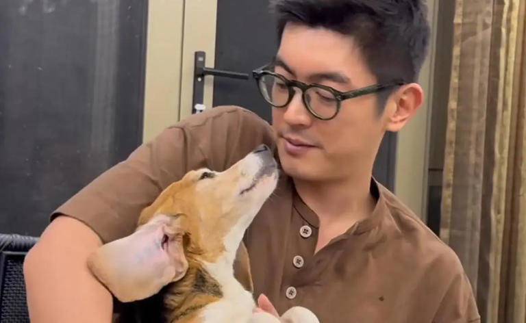 霍思燕收养的比格犬什么来头?关注那些公众视野之外的实验犬-霍思燕养宠物