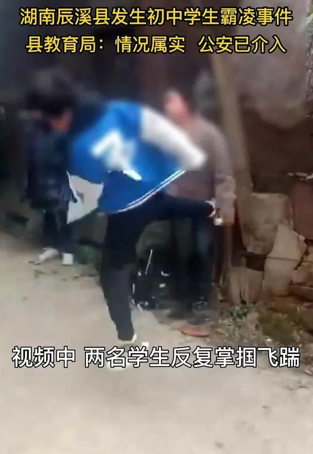 男孩制止校园暴力被打伤残,打人者父母:劝架后果自负,法院判了-男孩阻止校园暴力被杀害的电影