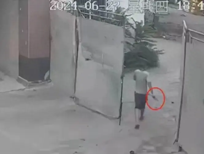 闹大了!男子开车撞人还持刀追砍后续:同村人曝原因,果然不简单-男子开车撞死人新闻报道视频