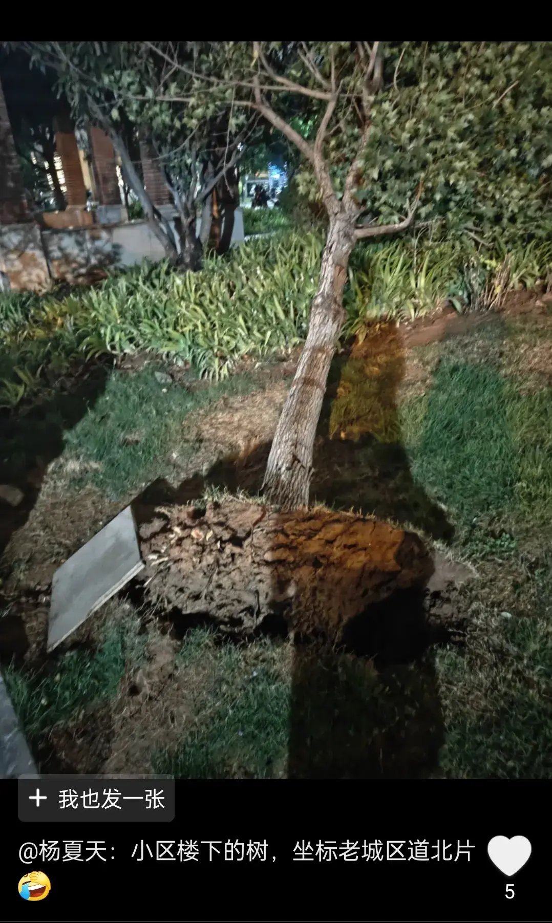 突发!洛阳大雨,空调外机被刮下。河科大快散架了!笑疯在评论区-空调外机被暴雨淋