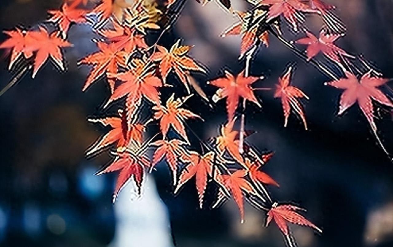 【震撼!未曾见过的甘肃天气预报,10月14日你能承受吗?】-甘肃近一周天气预报