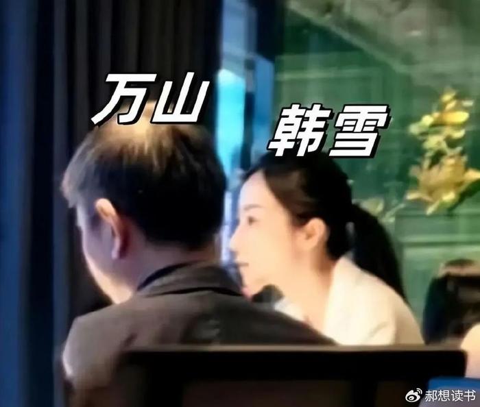 韩雪结婚了?被拍到和丈夫万山外出聚餐,两人还有一个可爱的女儿-韩雪,结婚了吗?