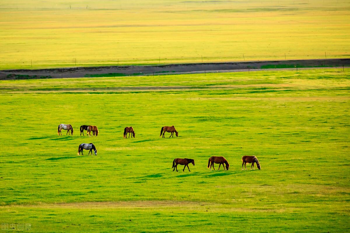 “藏着半个中国”的内蒙古,到底有多美?-内蒙古的美景有哪些