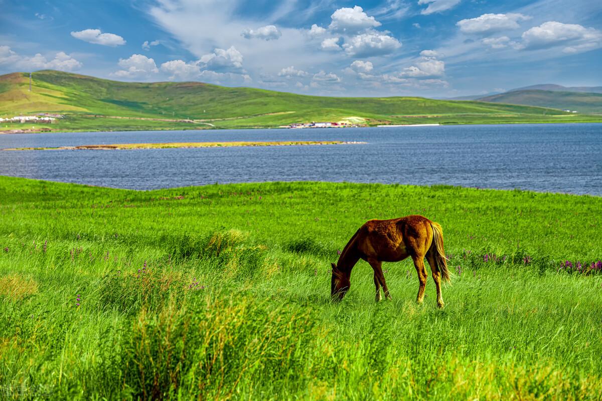 “藏着半个中国”的内蒙古,到底有多美?-内蒙古的美景有哪些