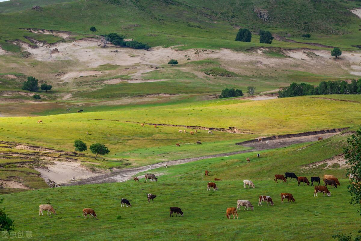 “藏着半个中国”的内蒙古,到底有多美?-内蒙古的美景有哪些