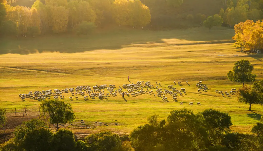 被国家地理评为“秋日必去”,10月的内蒙古,到底有多美?-内蒙10月份天气冷吗?