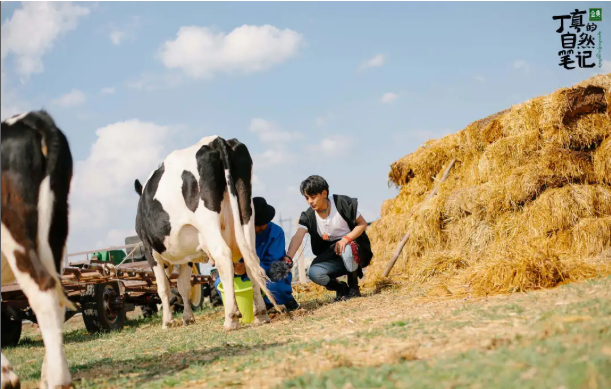 被国家地理评为“秋日必去”,10月的内蒙古,到底有多美?-内蒙10月份天气冷吗?
