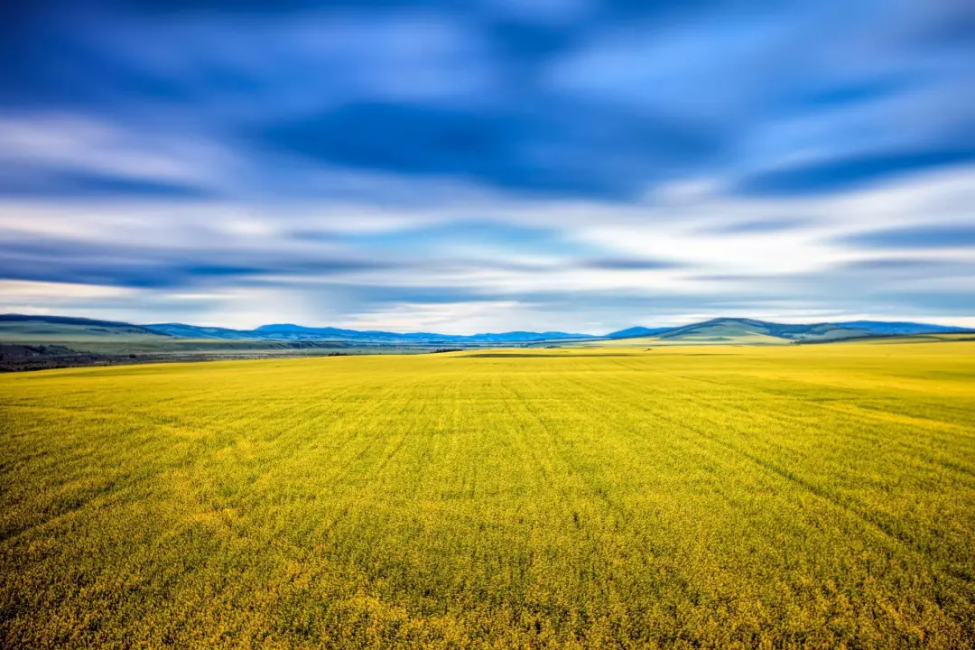 被国家地理评为“秋日必去”,10月的内蒙古,到底有多美?-内蒙10月份天气冷吗?