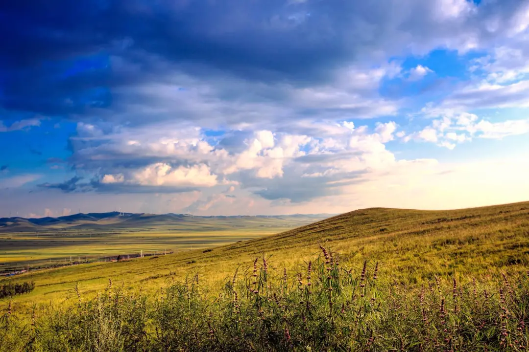 被国家地理评为“秋日必去”,10月的内蒙古,到底有多美?-内蒙10月份天气冷吗?