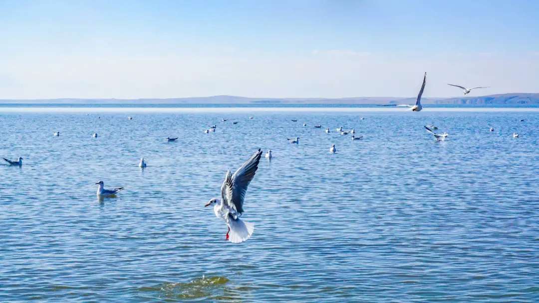 被国家地理评为“秋日必去”,10月的内蒙古,到底有多美?-内蒙10月份天气冷吗?
