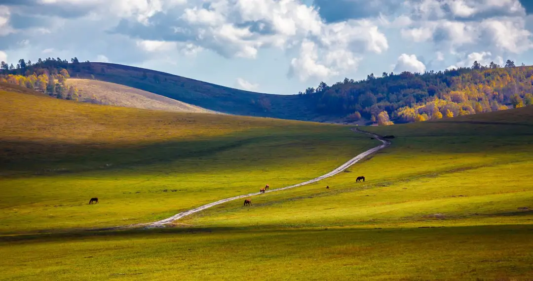 被国家地理评为“秋日必去”,10月的内蒙古,到底有多美?-内蒙10月份天气冷吗?