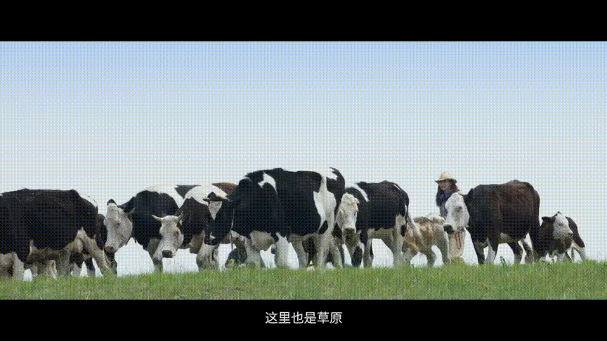 被国家地理评为“秋日必去”,10月的内蒙古,到底有多美?-内蒙10月份天气冷吗?