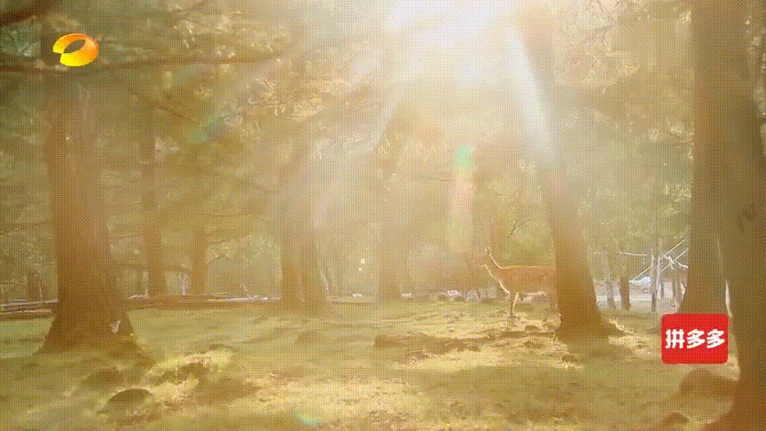 被国家地理评为“秋日必去”,10月的内蒙古,到底有多美?-内蒙10月份天气冷吗?