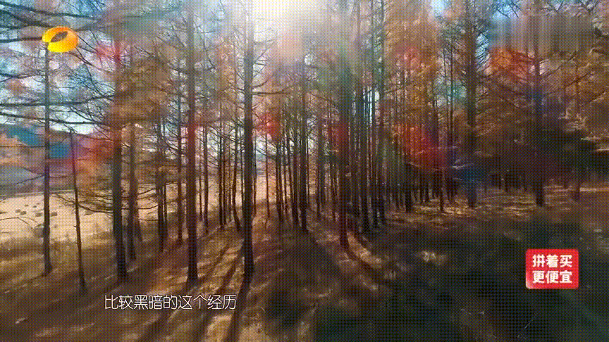 被国家地理评为“秋日必去”,10月的内蒙古,到底有多美?-内蒙10月份天气冷吗?