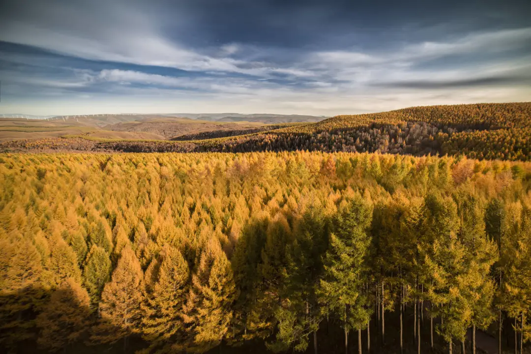 被国家地理评为“秋日必去”,10月的内蒙古,到底有多美?-内蒙10月份天气冷吗?