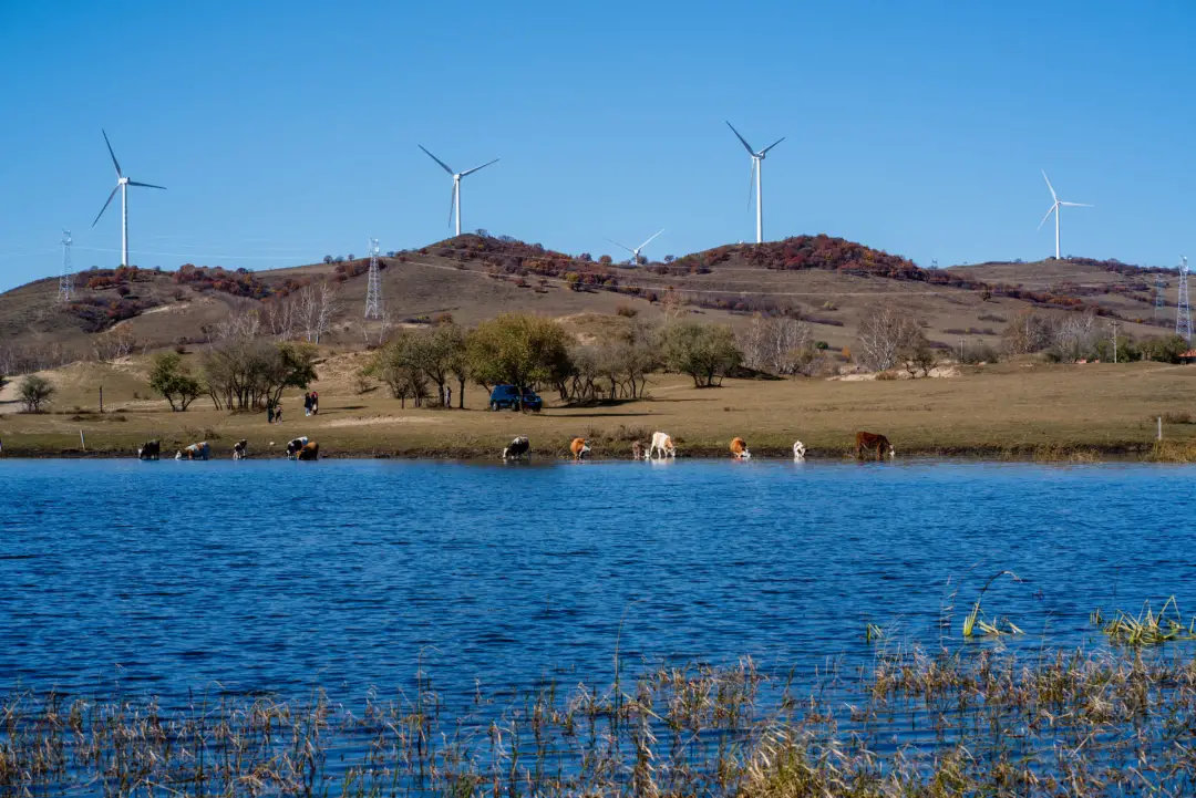 被国家地理评为“秋日必去”,10月的内蒙古,到底有多美?-内蒙10月份天气冷吗?