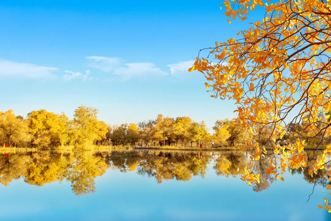 被国家地理评为“秋日必去”,10月的内蒙古,到底有多美?-内蒙10月份天气冷吗?