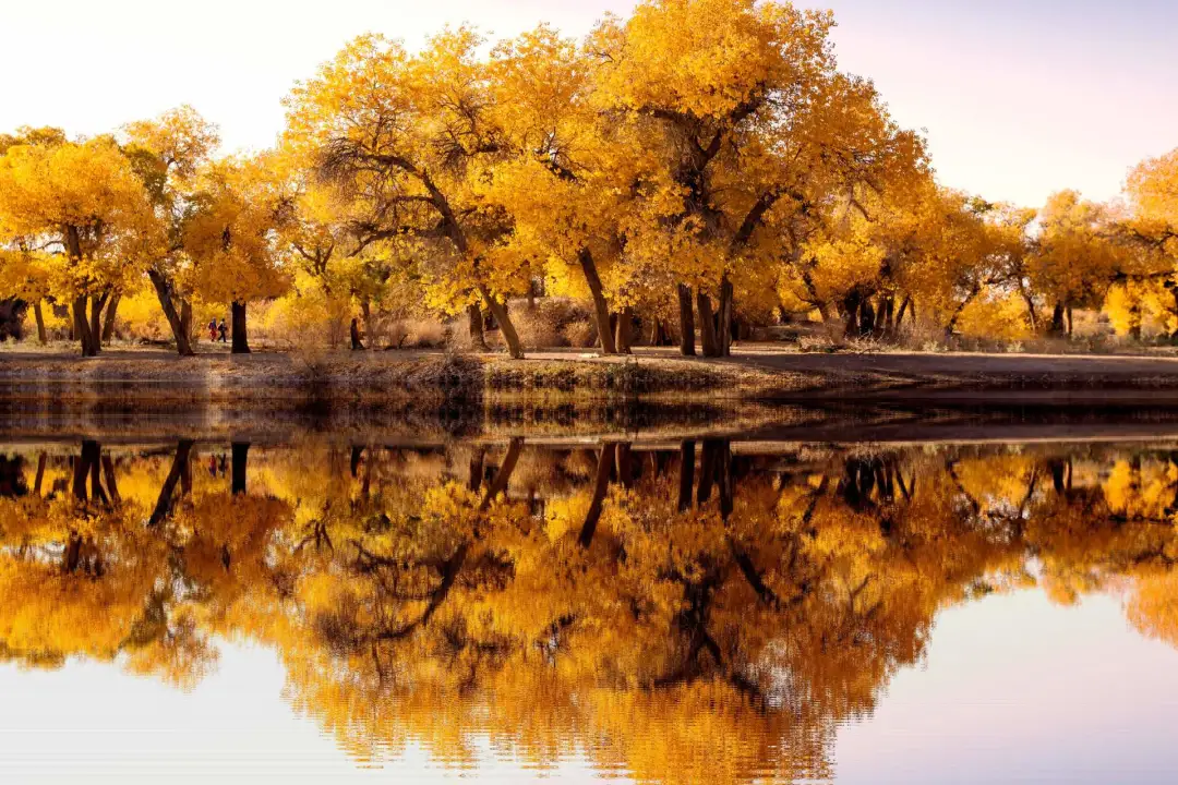 被国家地理评为“秋日必去”,10月的内蒙古,到底有多美?-内蒙10月份天气冷吗?