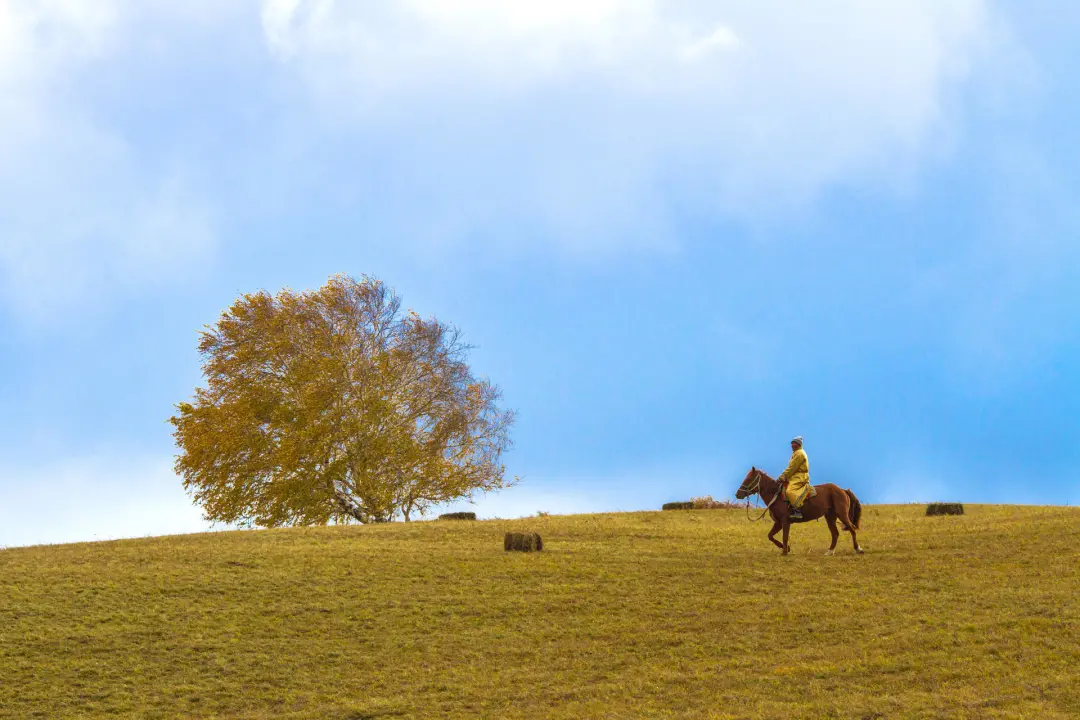 被国家地理评为“秋日必去”,10月的内蒙古,到底有多美?-内蒙10月份天气冷吗?