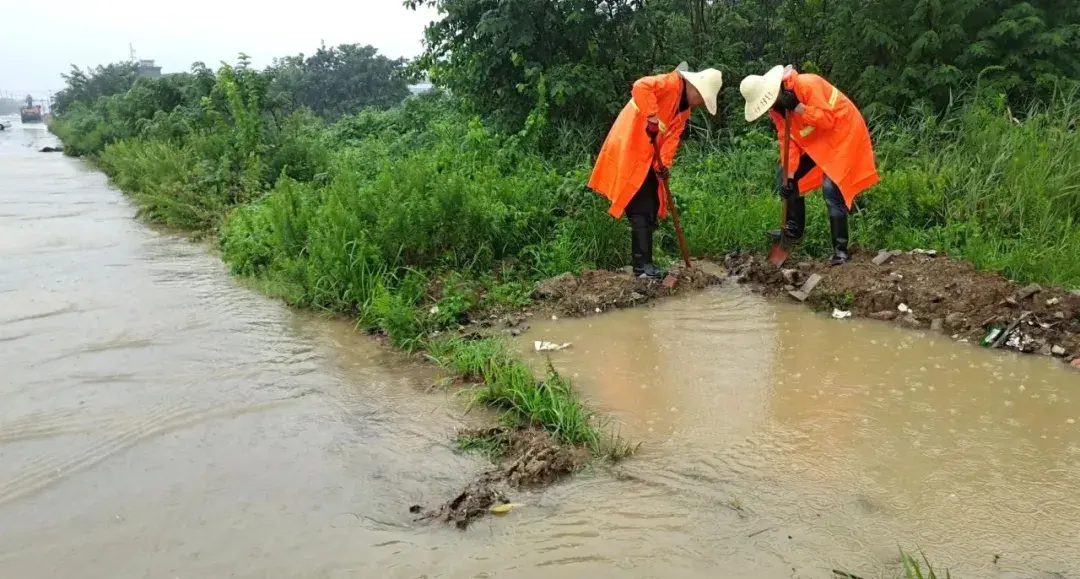 此时此刻,合肥正在行动!现场直击→-合肥现象