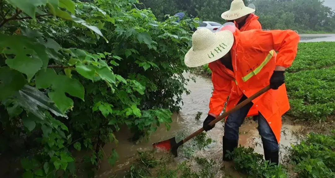 此时此刻,合肥正在行动!现场直击→-合肥现象
