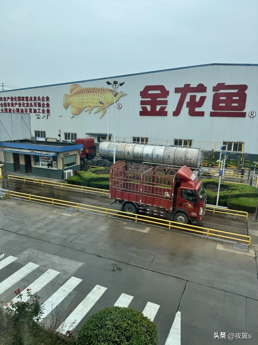 运煤制油罐车确进3家涉陕食用油企业卸货,油罐均封存待检-陕西油罐车爆炸