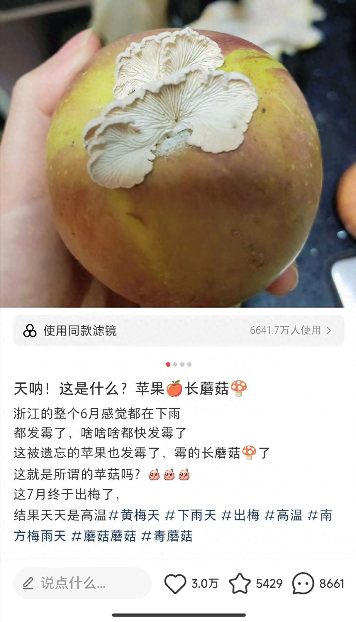 继酒精发霉后,网友晒苹果上长了“果菌王” !博士解答-苹果放出酒精味了还能吃吗