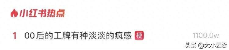 00后的工牌有种淡淡的疯感!网友:在公司耍大牌了,耍的工牌!-00后的工作