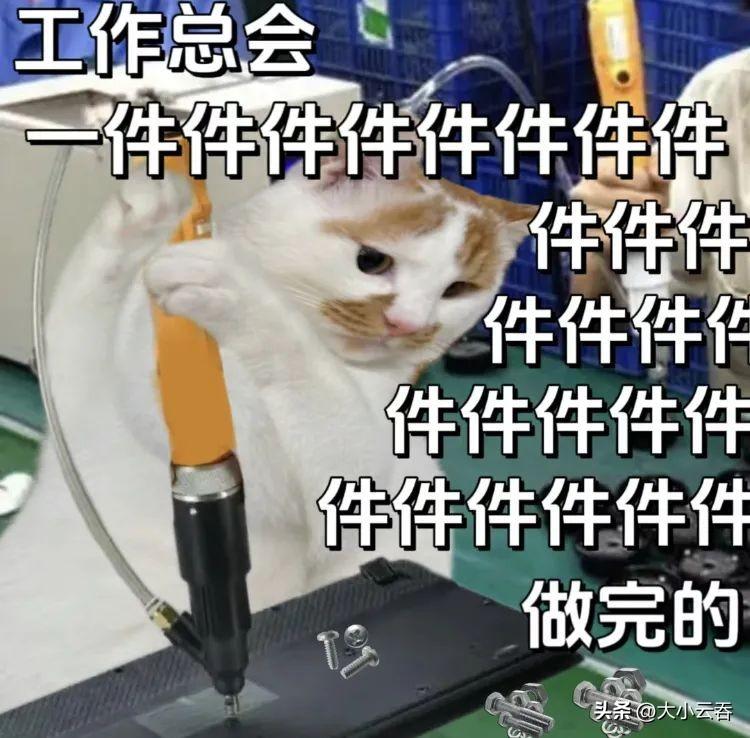 00后的工牌有种淡淡的疯感!网友:在公司耍大牌了,耍的工牌!-00后的工作