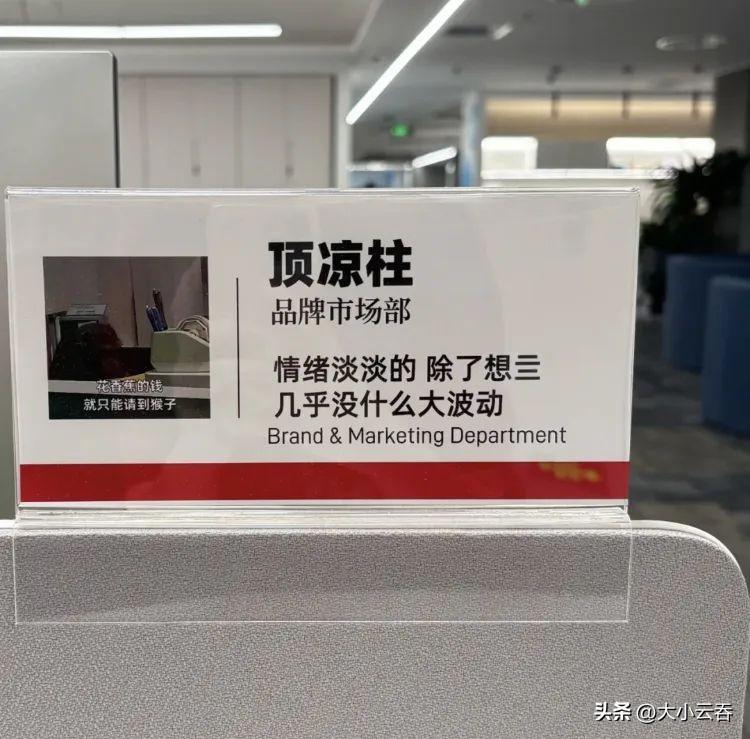 00后的工牌有种淡淡的疯感!网友:在公司耍大牌了,耍的工牌!-00后的工作