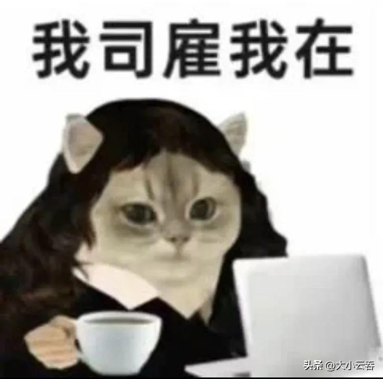 00后的工牌有种淡淡的疯感!网友:在公司耍大牌了,耍的工牌!-00后的工作