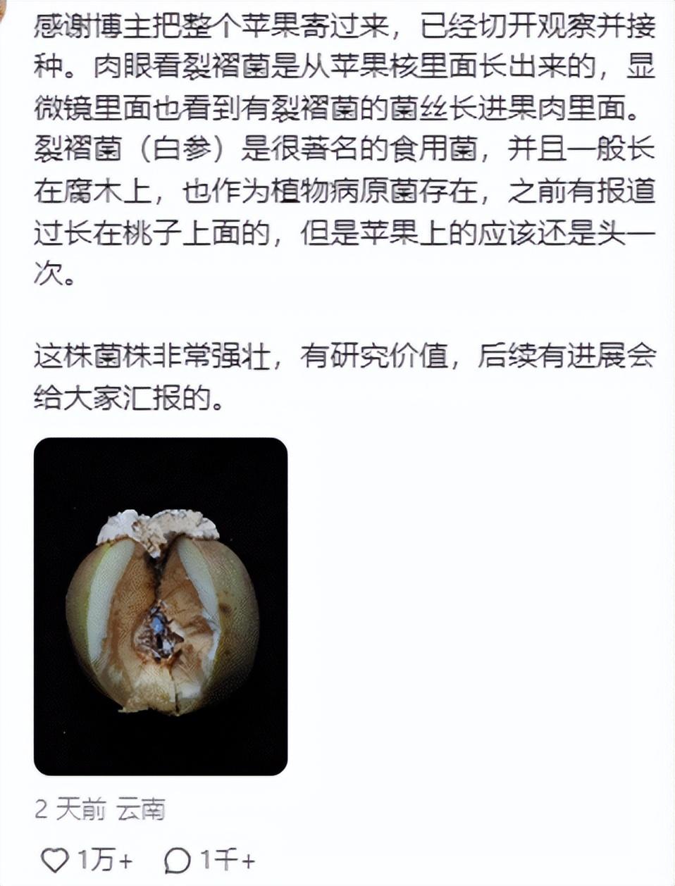 打工人工牌有种淡淡的疯感!网友:在公司耍大牌了,耍的工牌!-打工人图片说说