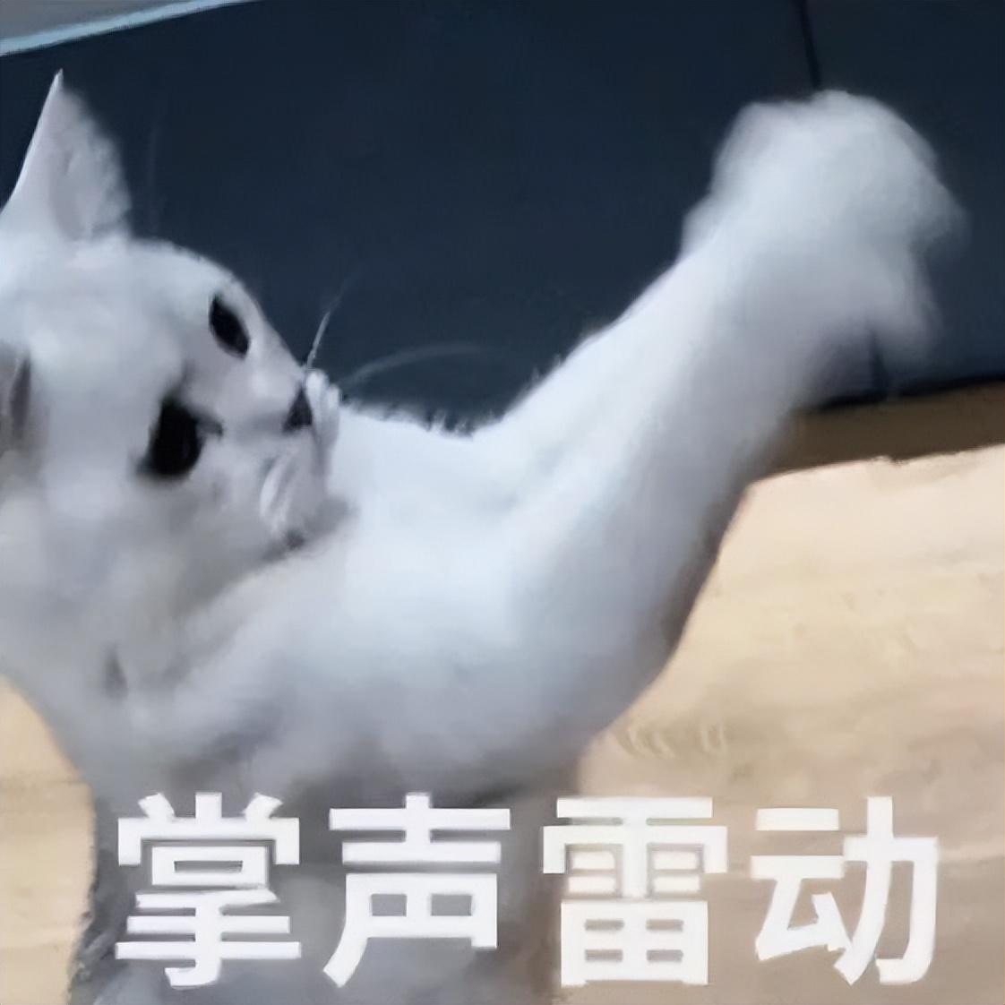 打工人工牌有种淡淡的疯感!网友:在公司耍大牌了,耍的工牌!-打工人图片说说