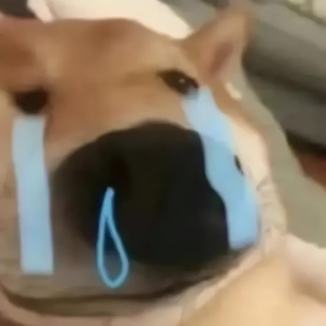 打工人工牌有种淡淡的疯感!网友:在公司耍大牌了,耍的工牌!-打工人图片说说