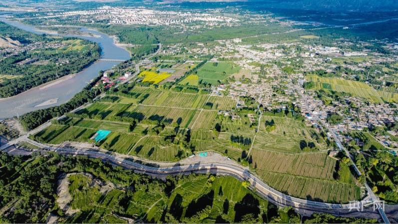 【镜头里的青海】“高原小江南”阳光明媚 盛夏灿烂-青海旅游哪些地方有高原反应