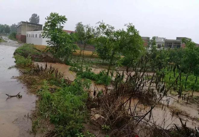 又是河南!南阳遭遇特大暴雨,已转移8000人,这是最后一次了吧-南阳市大暴雨