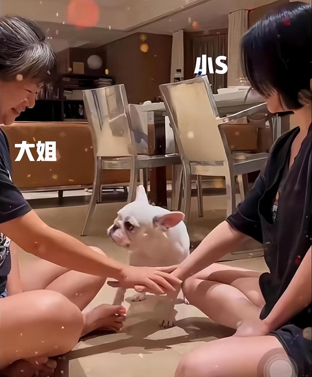 汪小菲老婆晒台北生活,Mandy在租的豪宅健身,吃自家香肠带货-汪小菲是台湾人吗