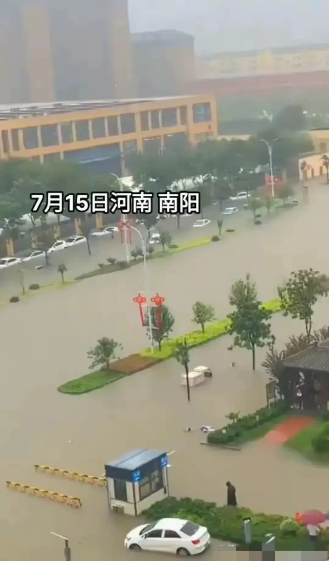 河南南阳,一夜暴雨汹汹。羊死牛慌!快步挺进“沿海”城市-河南南阳大暴雨