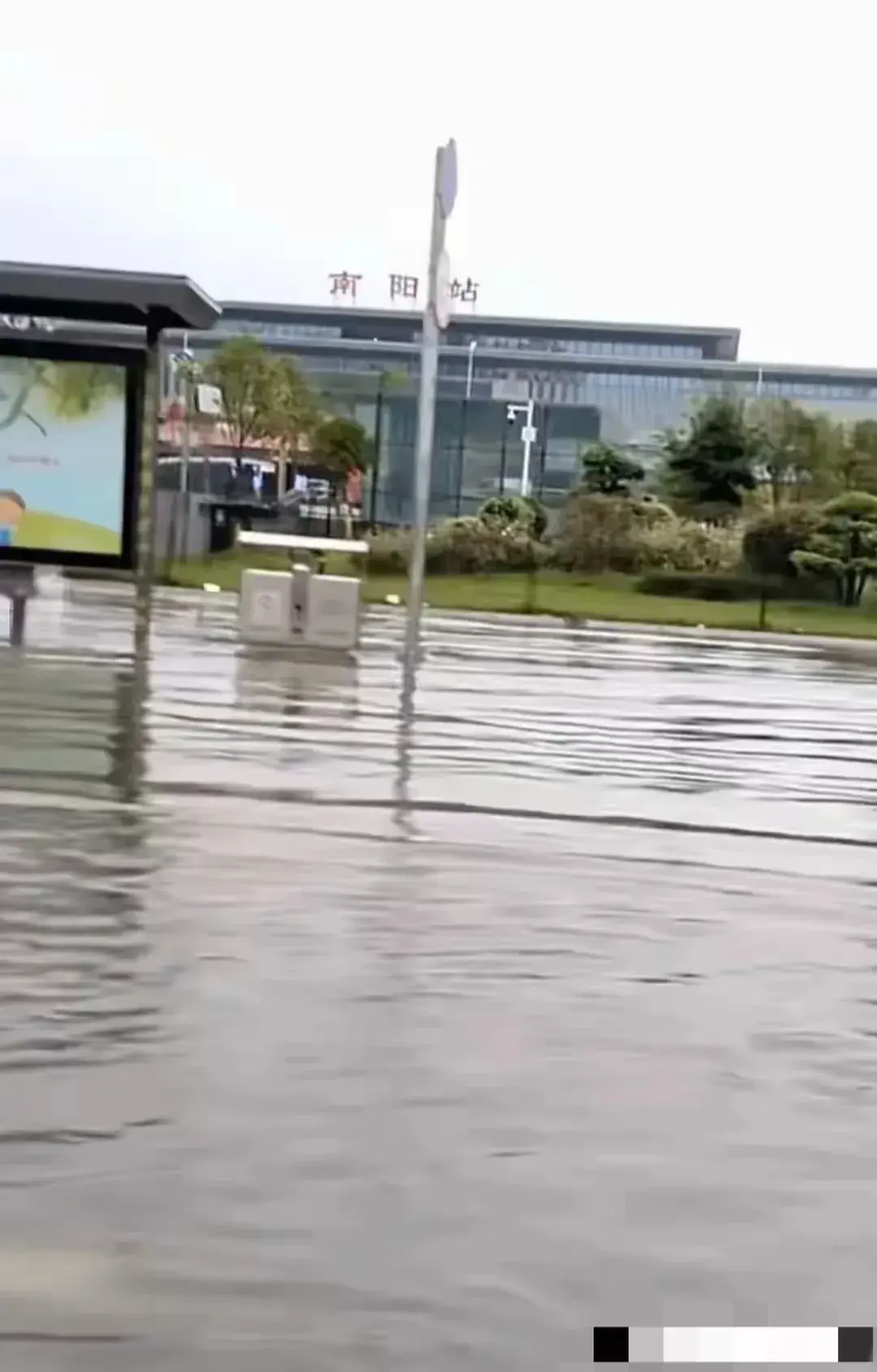 河南南阳,一夜暴雨汹汹。羊死牛慌!快步挺进“沿海”城市-河南南阳大暴雨