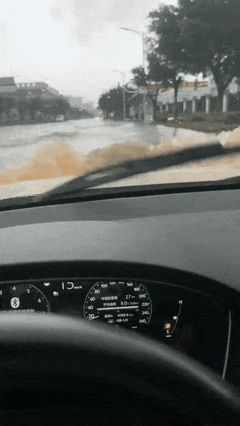 河南南阳,一夜暴雨汹汹。羊死牛慌!快步挺进“沿海”城市-河南南阳大暴雨