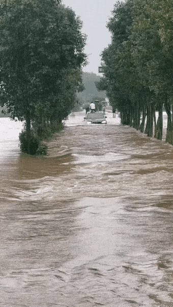 河南南阳,一夜暴雨汹汹。羊死牛慌!快步挺进“沿海”城市-河南南阳大暴雨