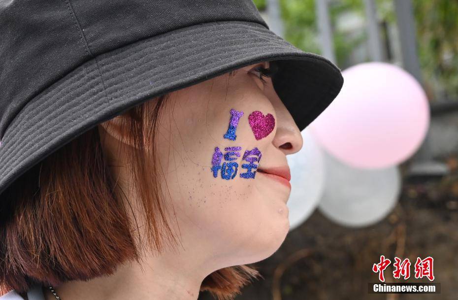 大熊猫“福宝”迎来回国后首个生日-熊猫福娃叫什么名字