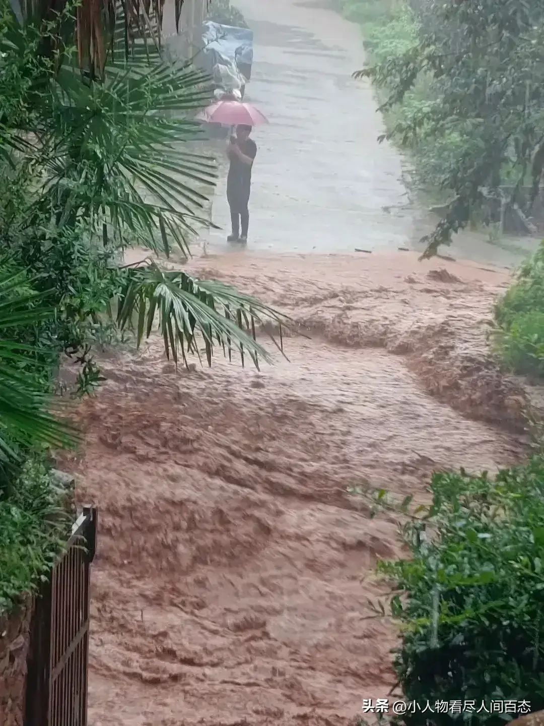睡梦中被卷走 暴雨山洪致8人遇难30余人失联 曾转移有人不习惯回家-梦到被暴雨困住