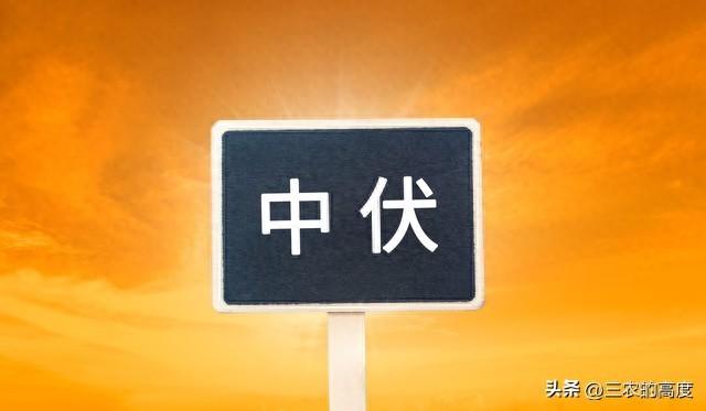 台风格美中心风力15级,将登陆福建中部,一路北上带来特大暴雨-台风靓丽